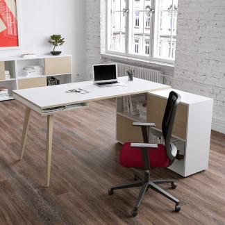 BUREAUX TELETRAVAIL