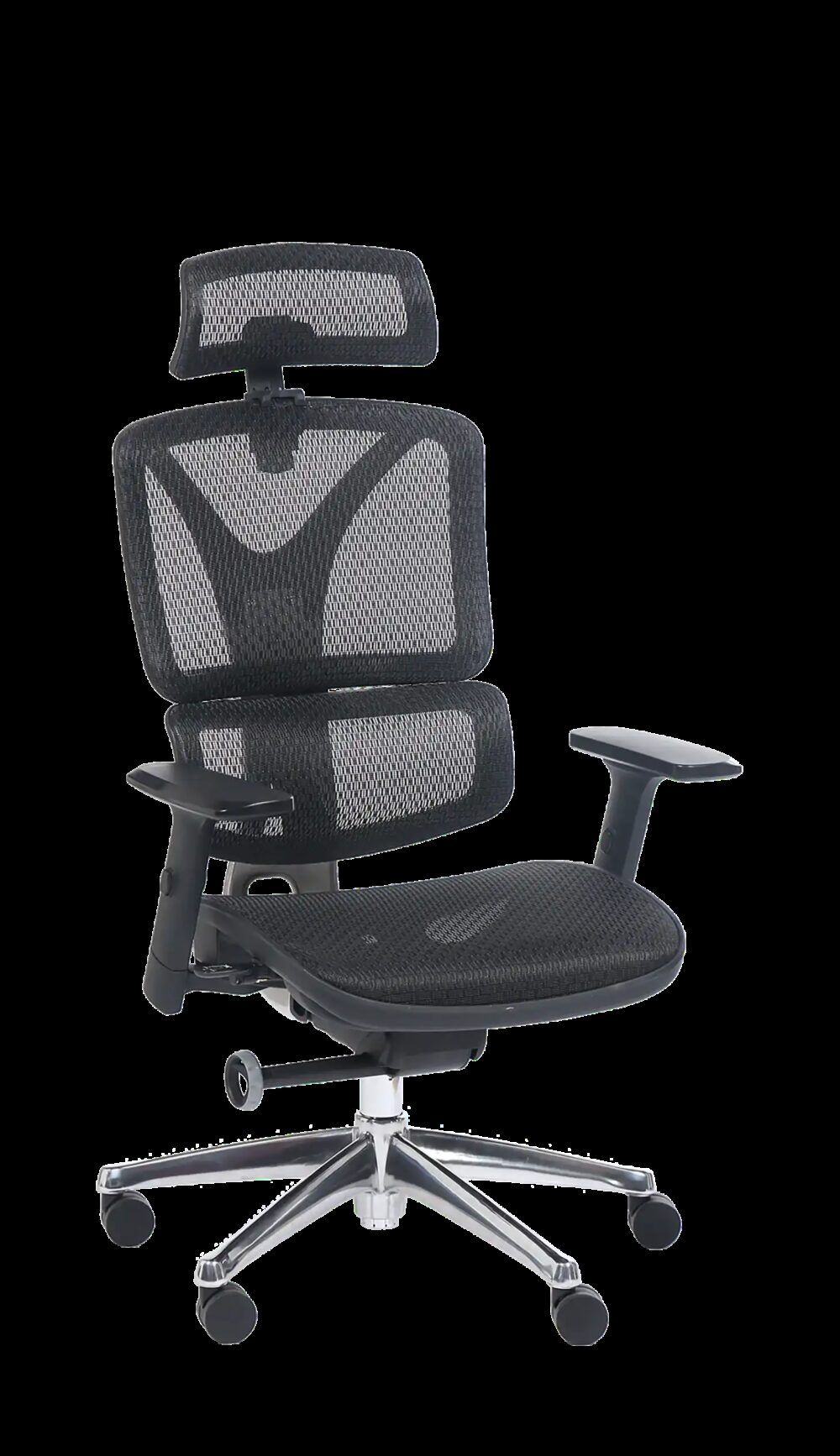 ERGOSTAR – Image 2