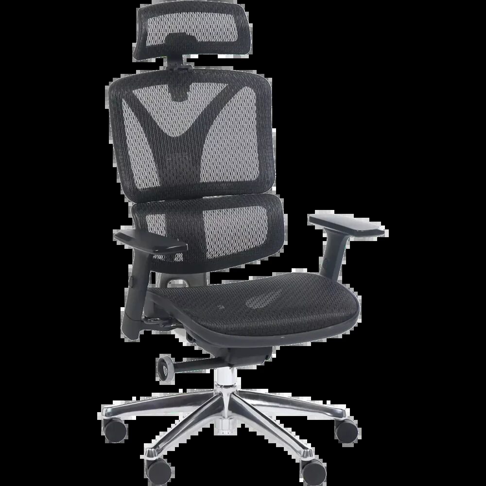 ERGOSTAR