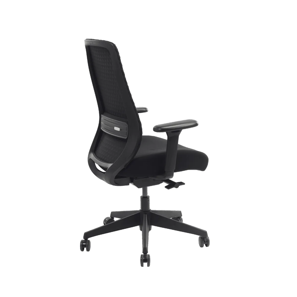 Fauteuil de bureau ergonomique NOVA – vue arrière avec soutien lombaire réglable