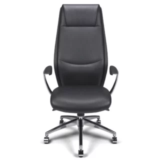 Fauteuil tery-000